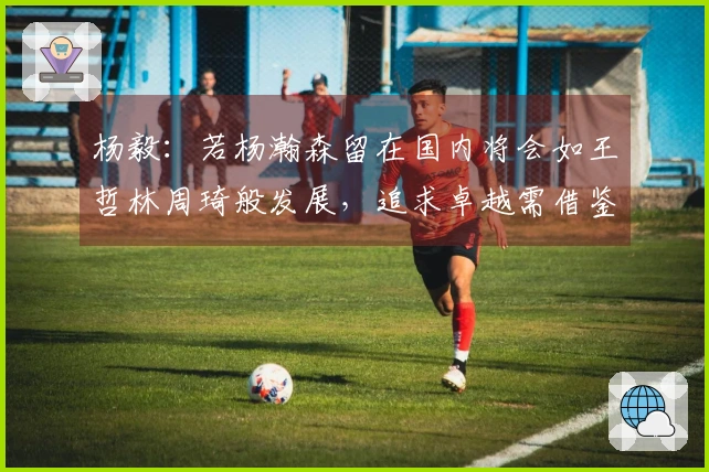 杨毅：若杨瀚森留在国内将会如王哲林周琦般发展，追求卓越需借鉴姚明的经验