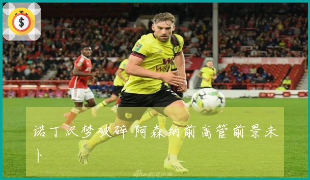 诺丁汉梦破碎 阿森纳前高管前景未卜