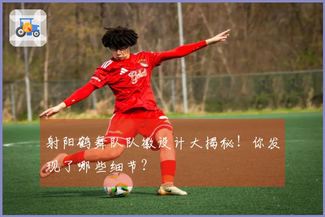 射阳鹤舞队队徽设计大揭秘！你发现了哪些细节？