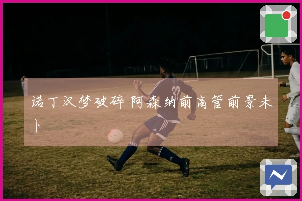 诺丁汉梦破碎 阿森纳前高管前景未卜