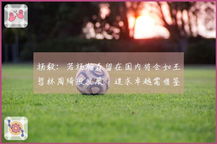 杨毅：若杨瀚森留在国内将会如王哲林周琦般发展，追求卓越需借鉴姚明的经验